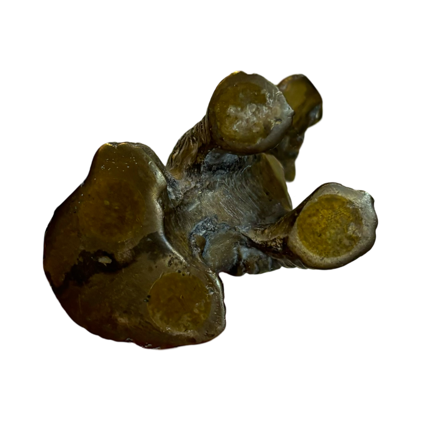 Brass Bear Cub