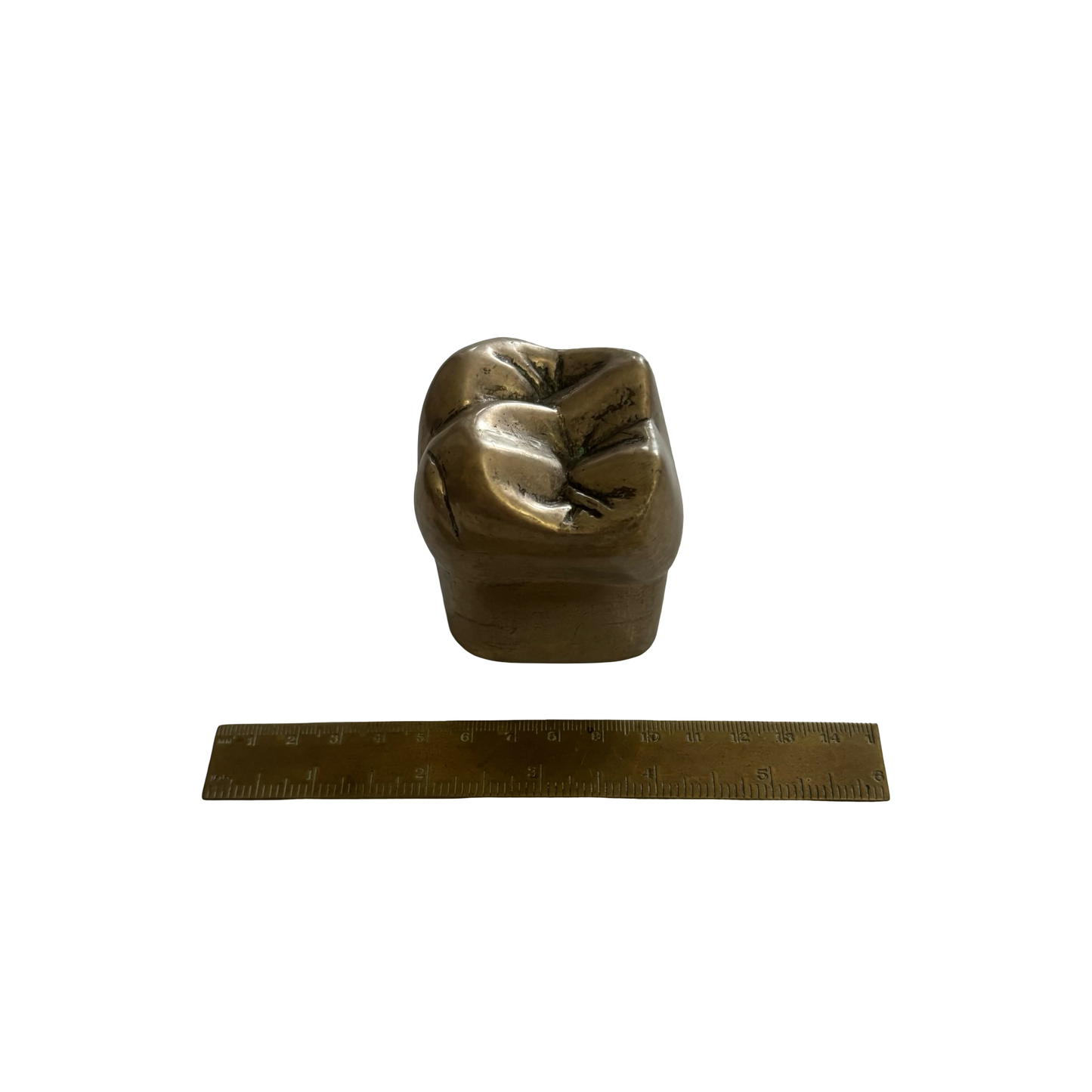 Metal Tooth Paperweight