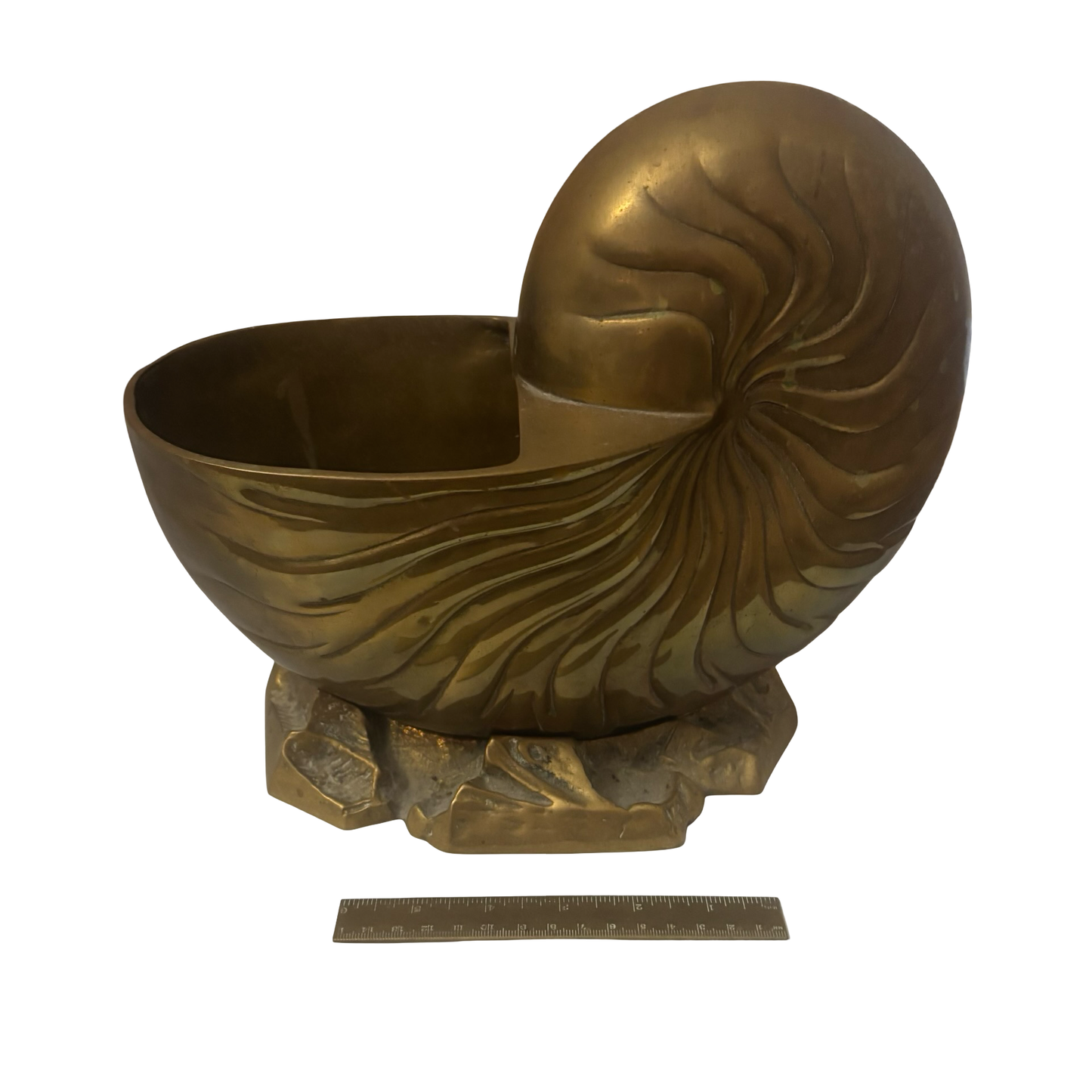 Huge Brass Nautilus Planter