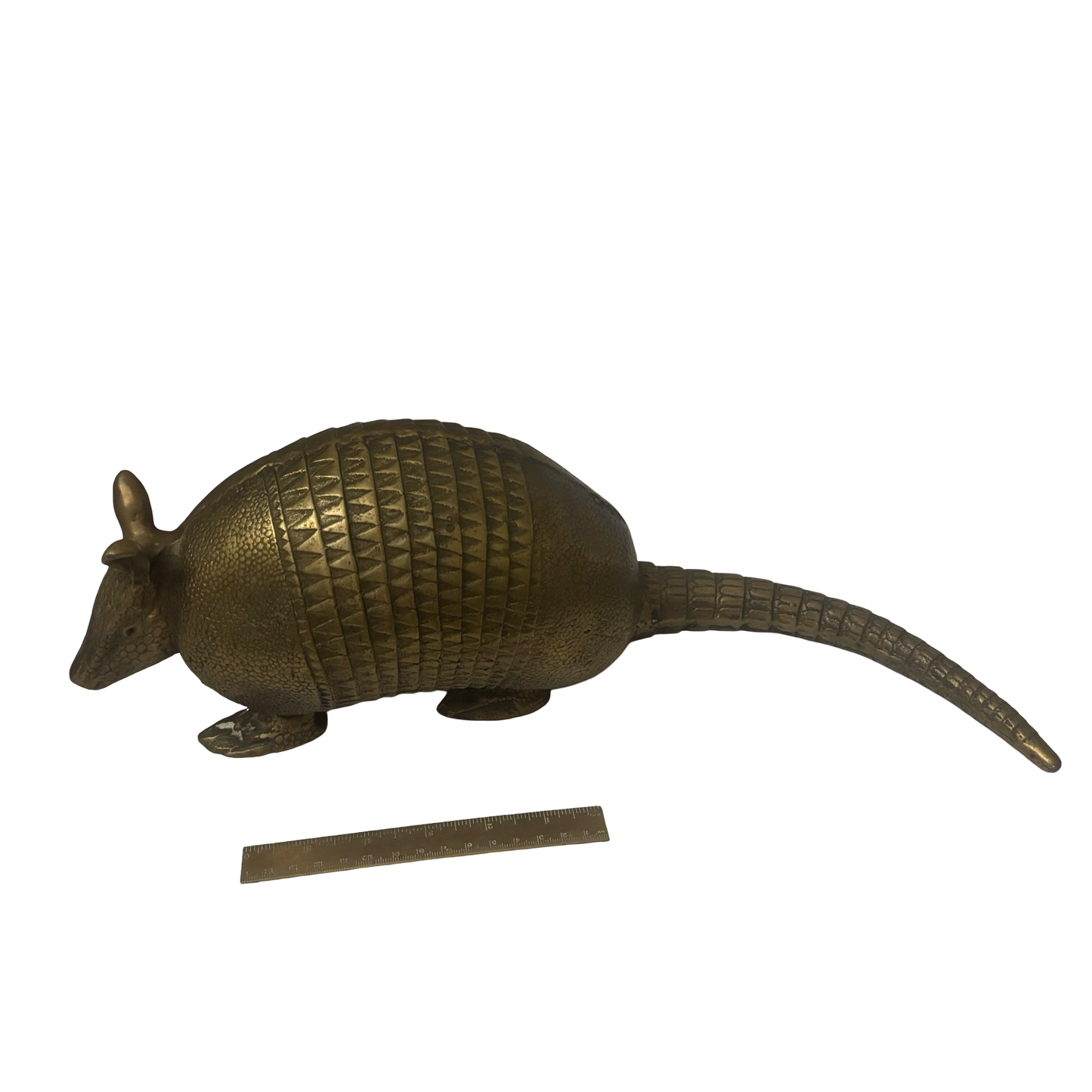 Life Sized Brass Armadillo