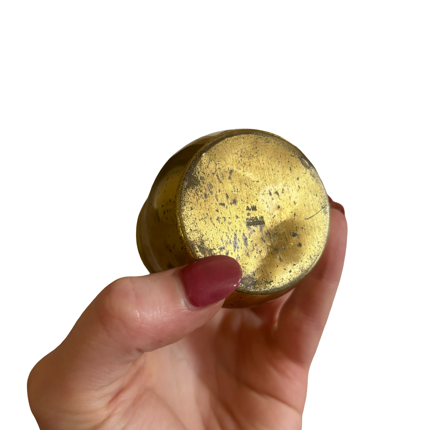 Brass Mushroom Snuff Box