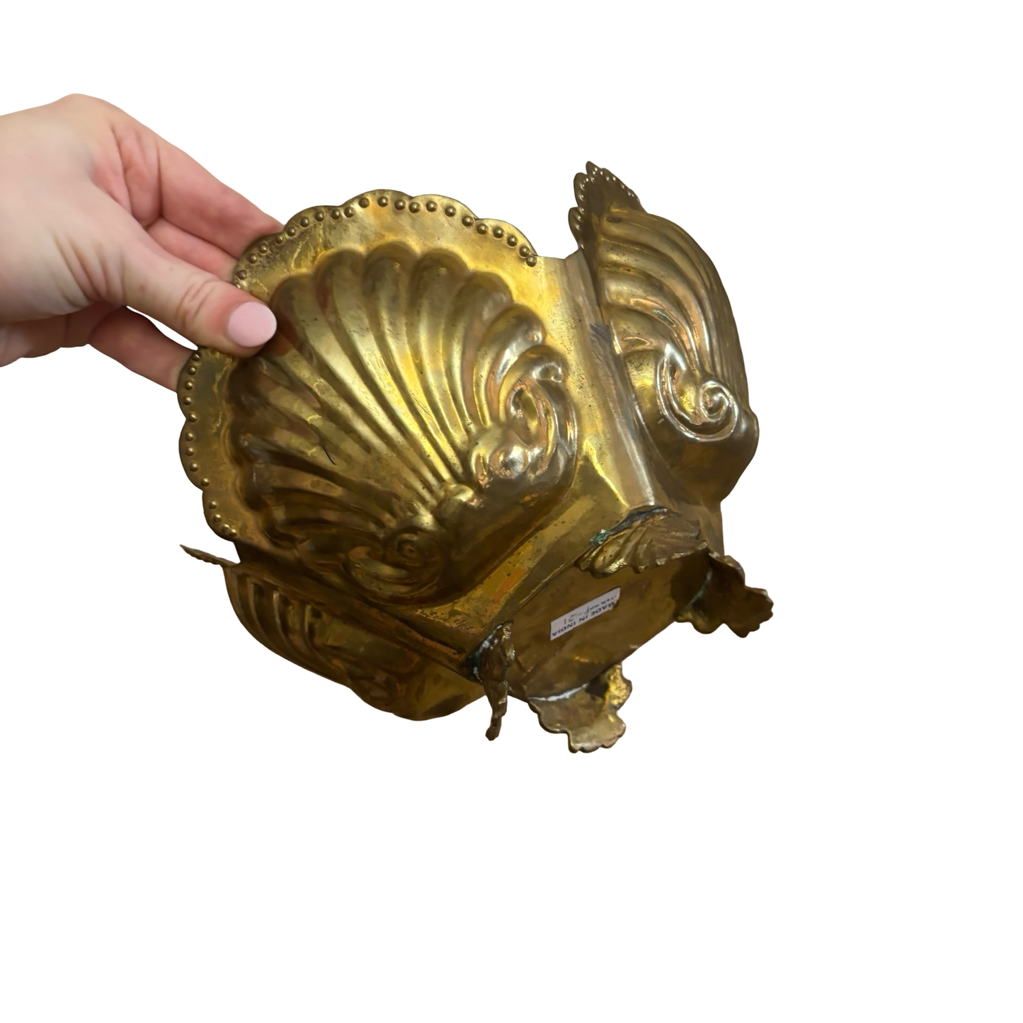 Brass Shell Planter