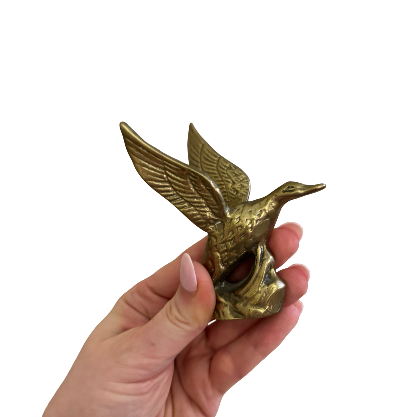 Brass Goose