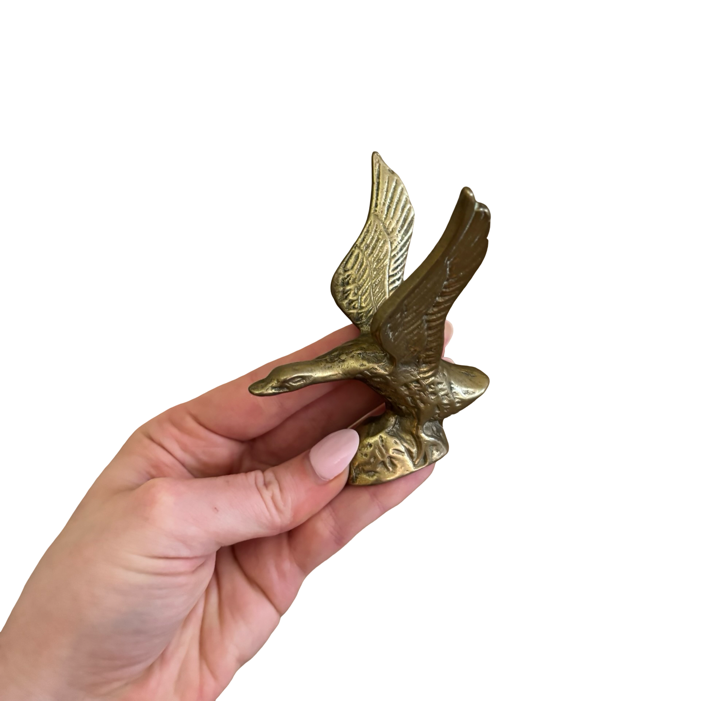 Brass Goose