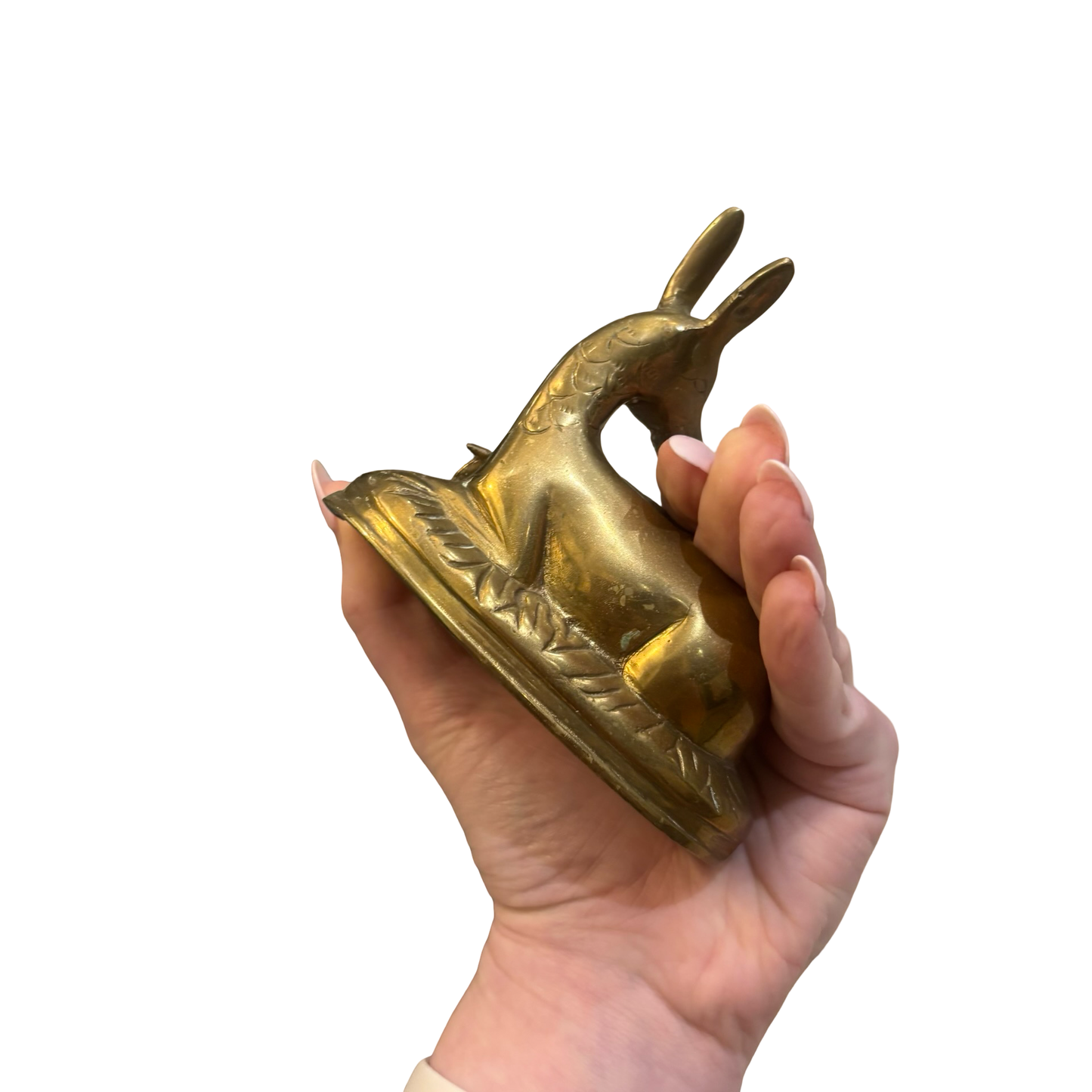 Brass Deer Family