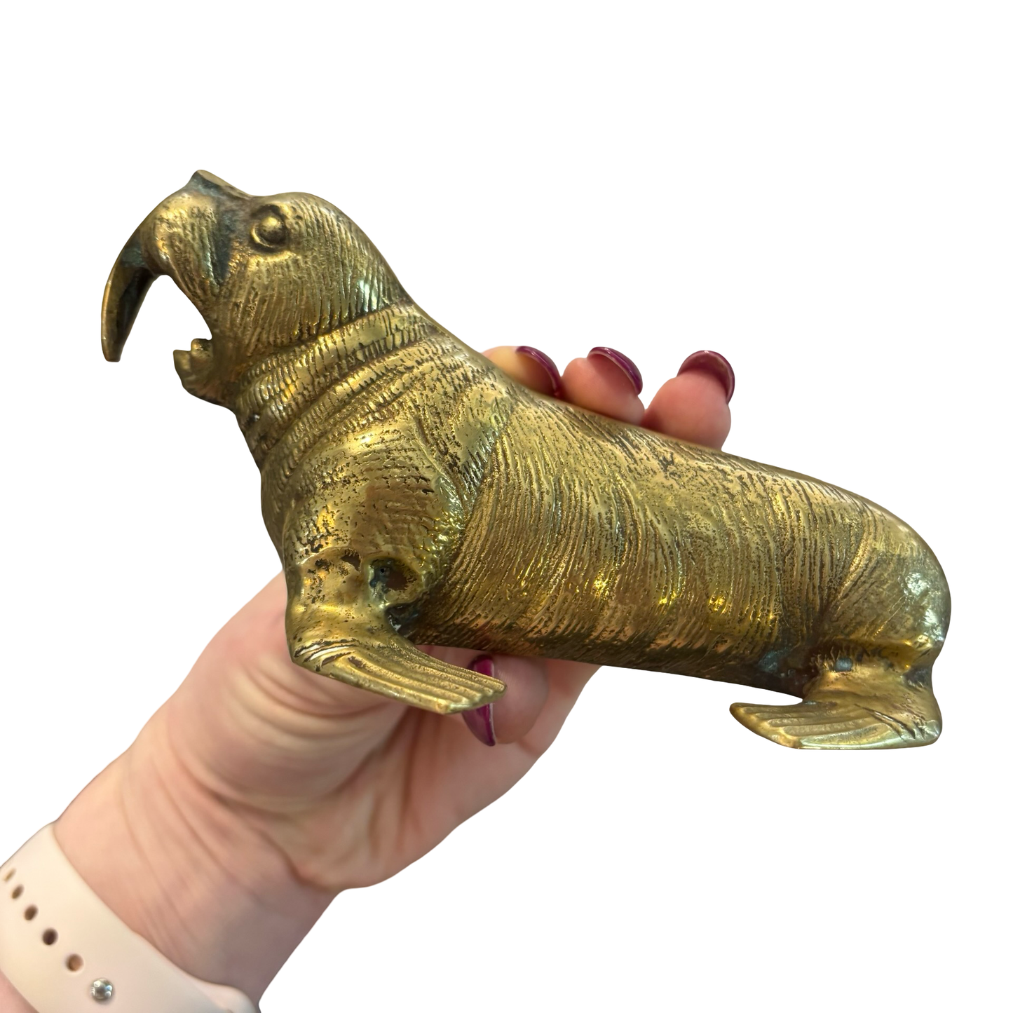 Brass Walrus