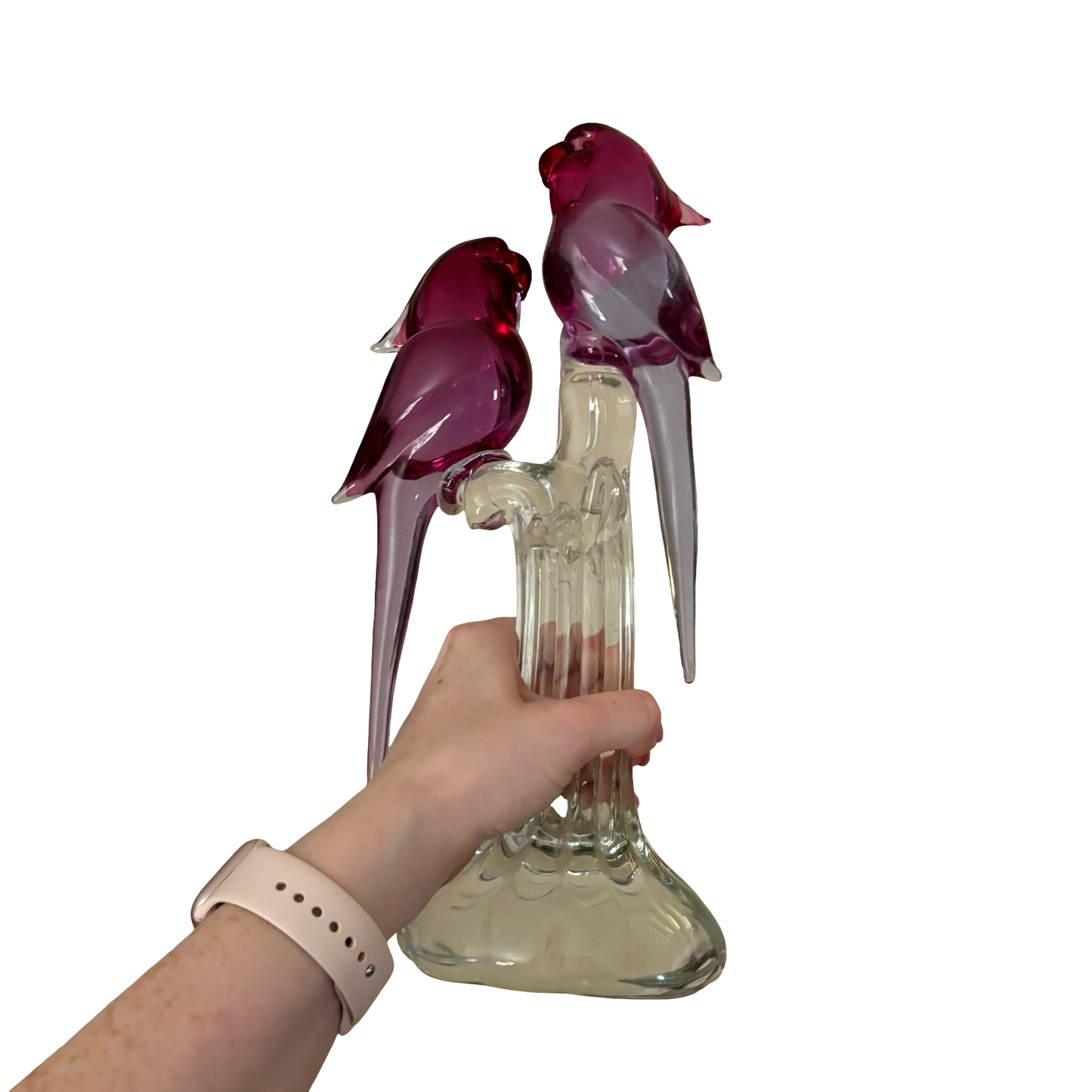Pino Signoretto Signed Murano Glass Birds