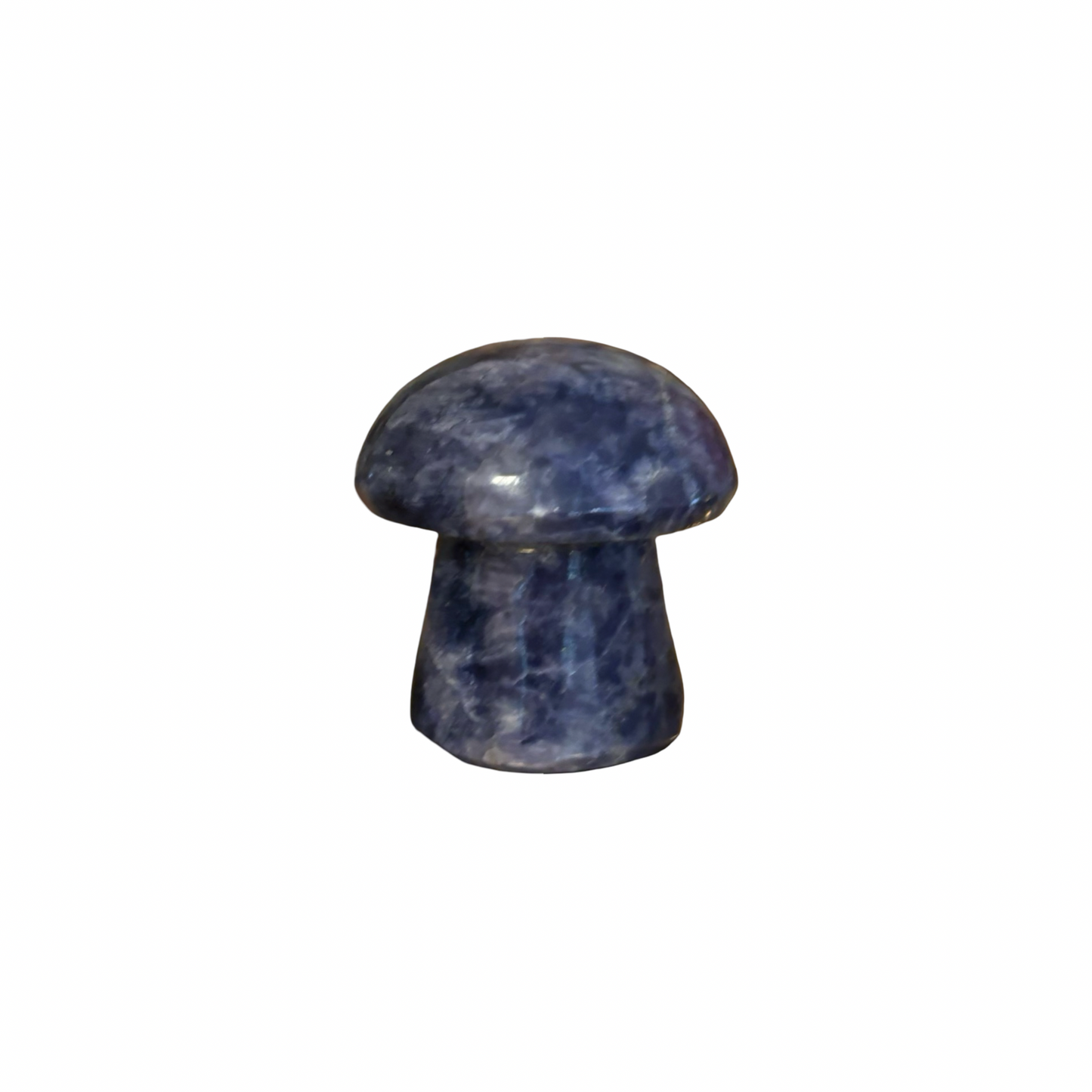 Blue Stone Mushroom