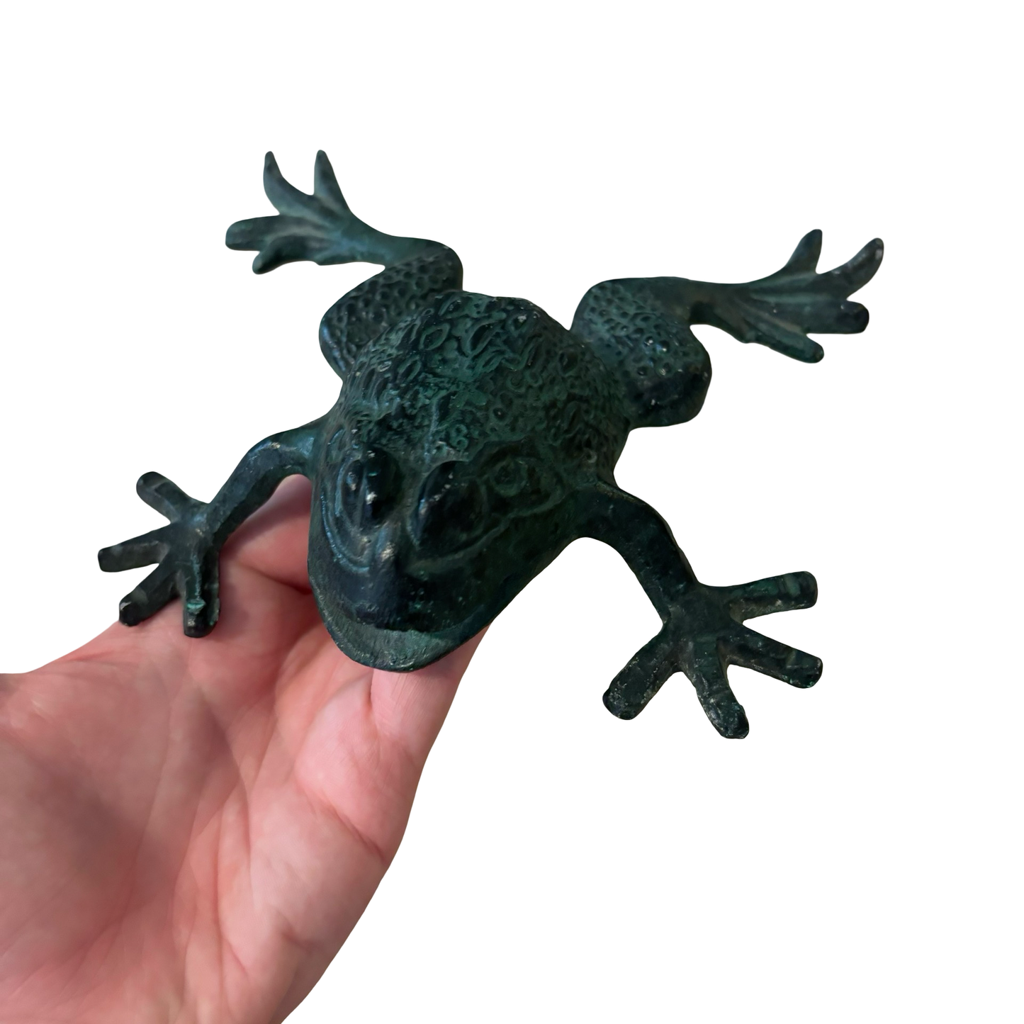 Metal Frog