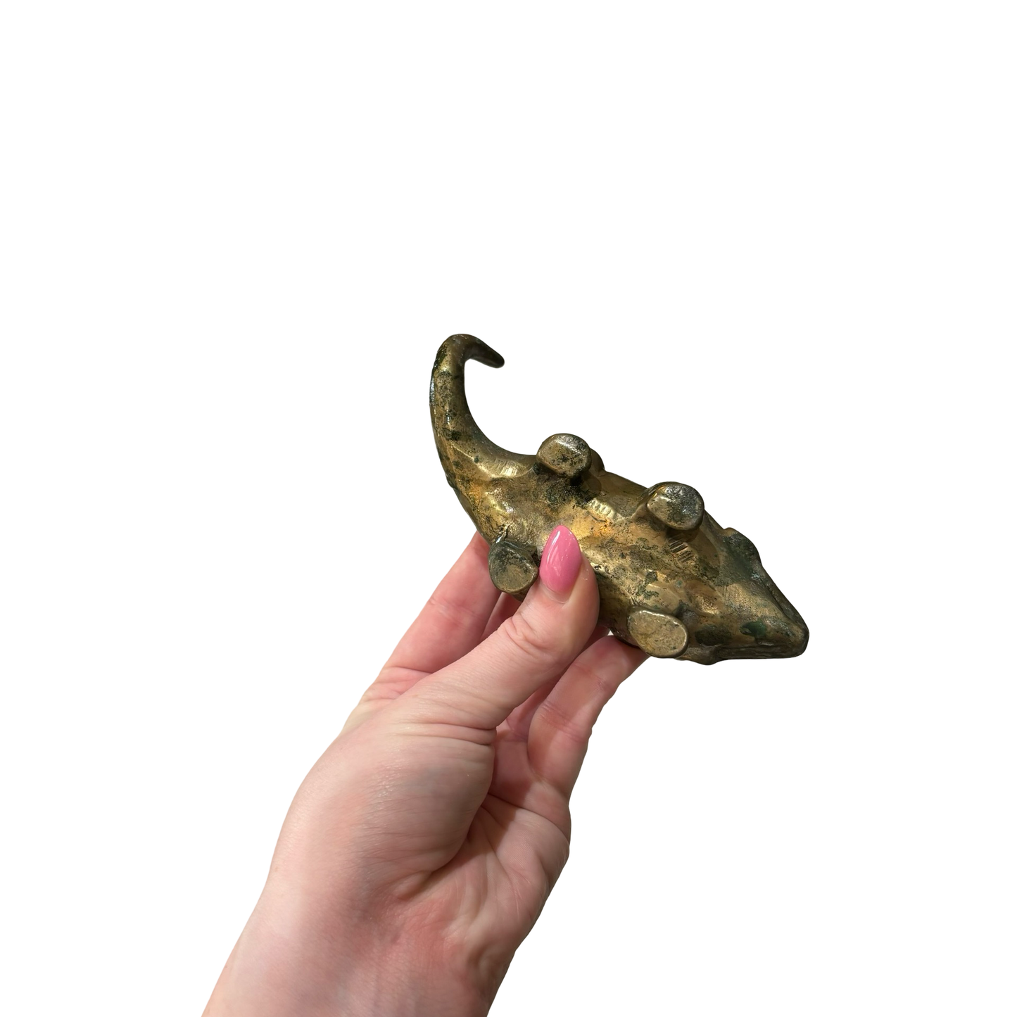 Brass Protoceratops Dinosaur