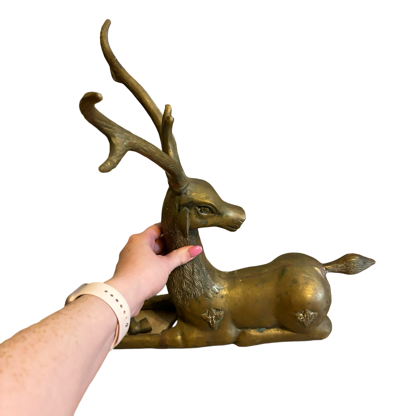 Brass Deer