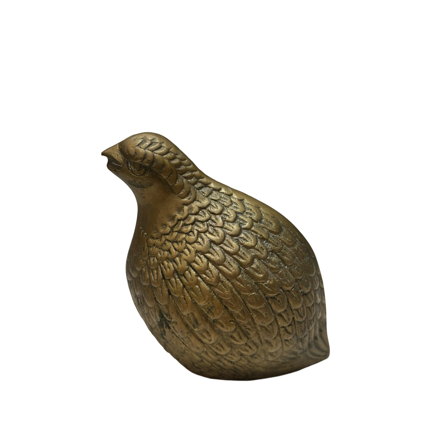 Brass Quail