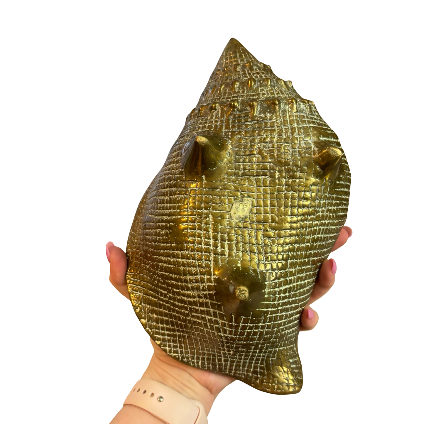 Large Brass Conch Shell Planter