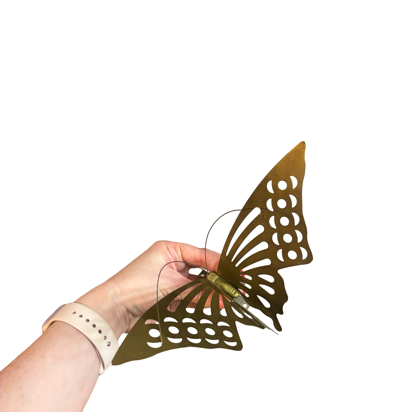 Brass Wall Butterfly Set