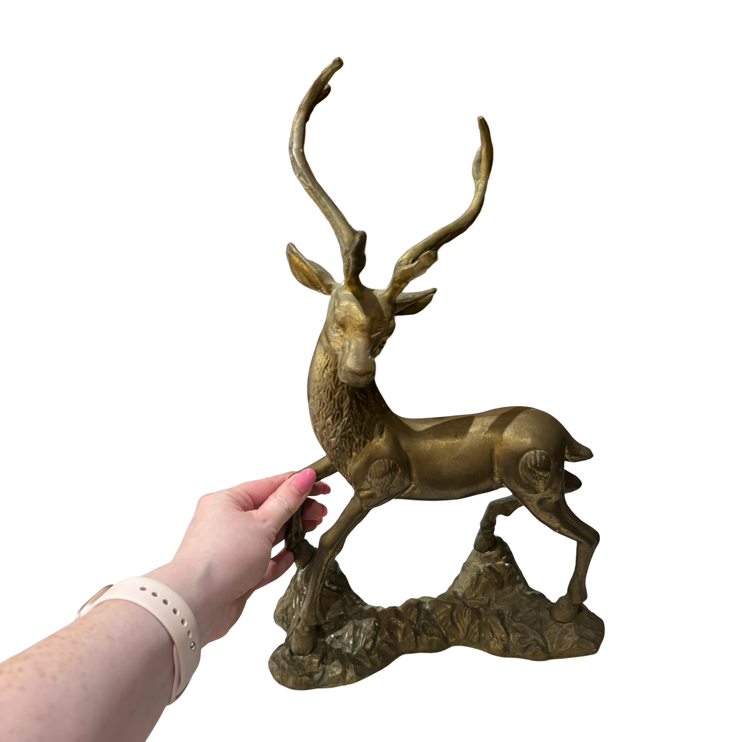 Brass Deer