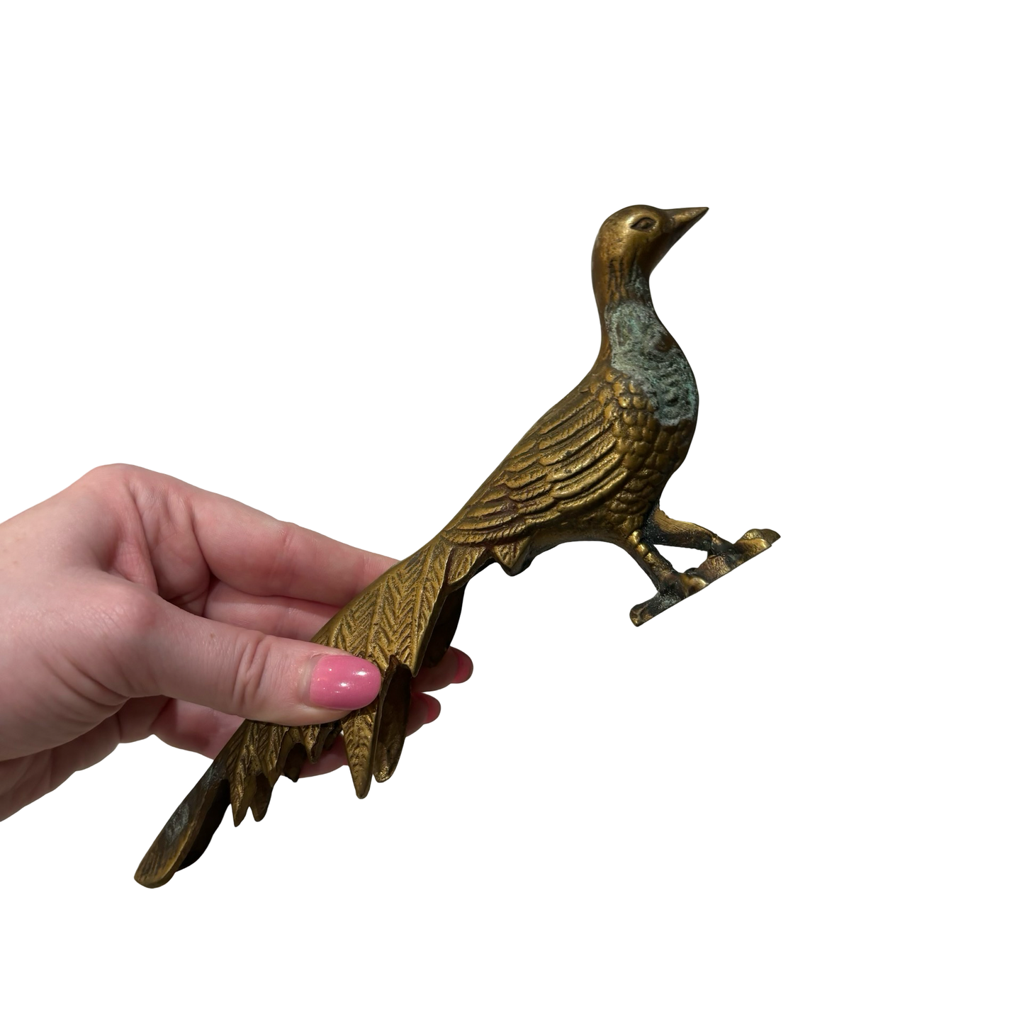 Brass Pheasant