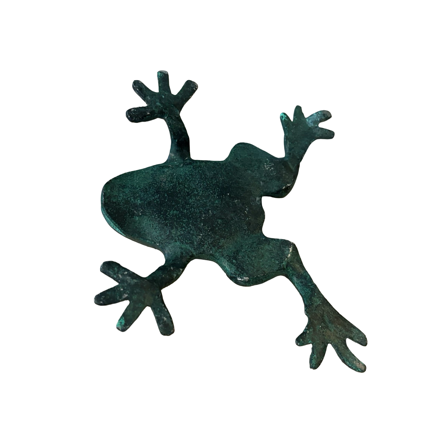 Metal Frog