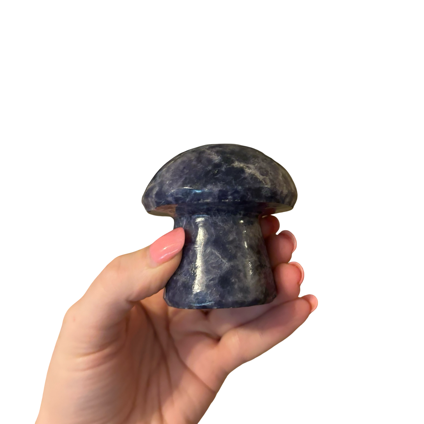 Blue Stone Mushroom
