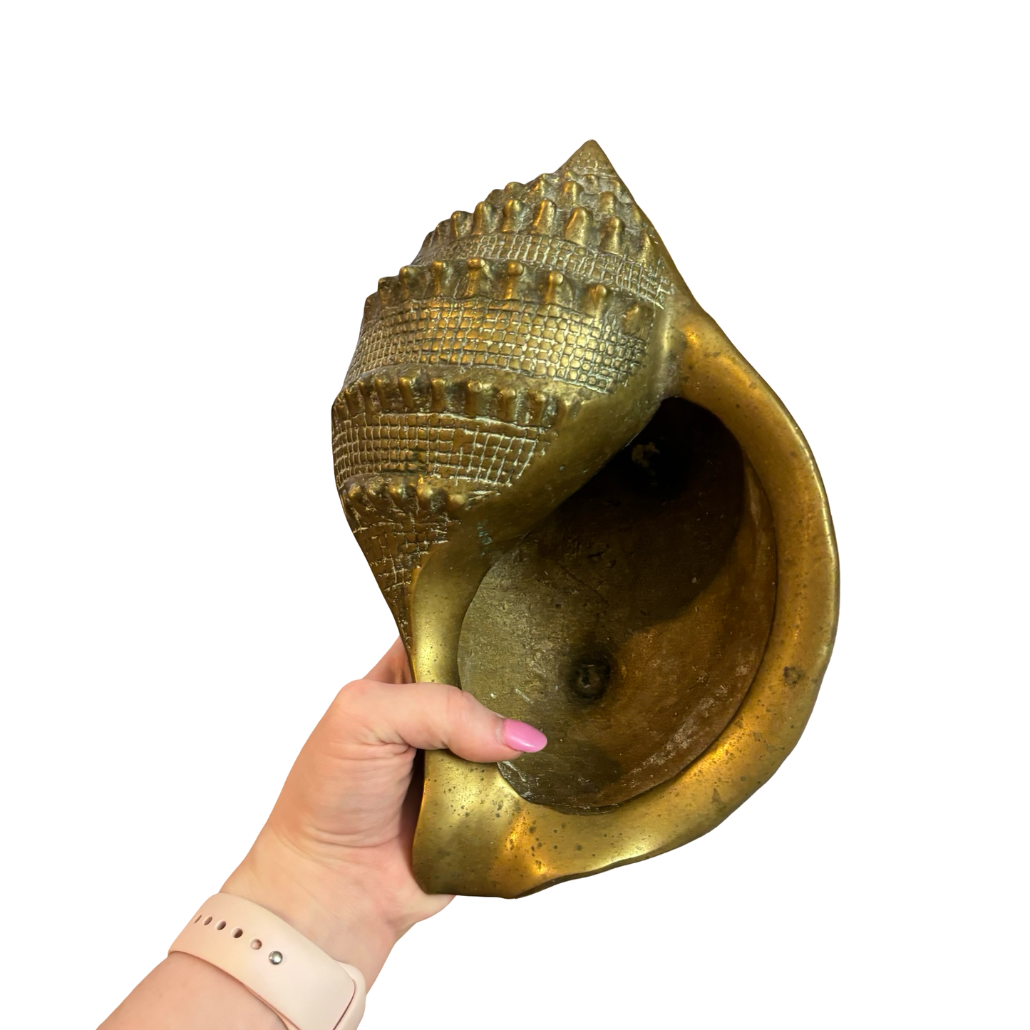 Large Brass Conch Shell Planter