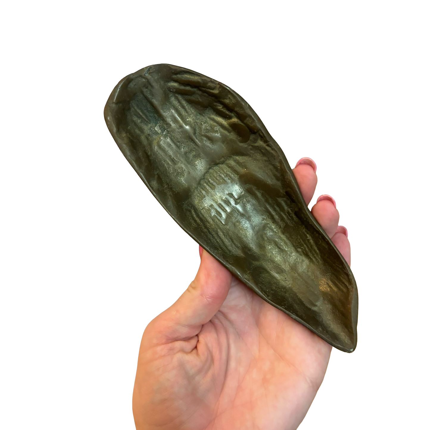 Brass Oyster Shell Trio