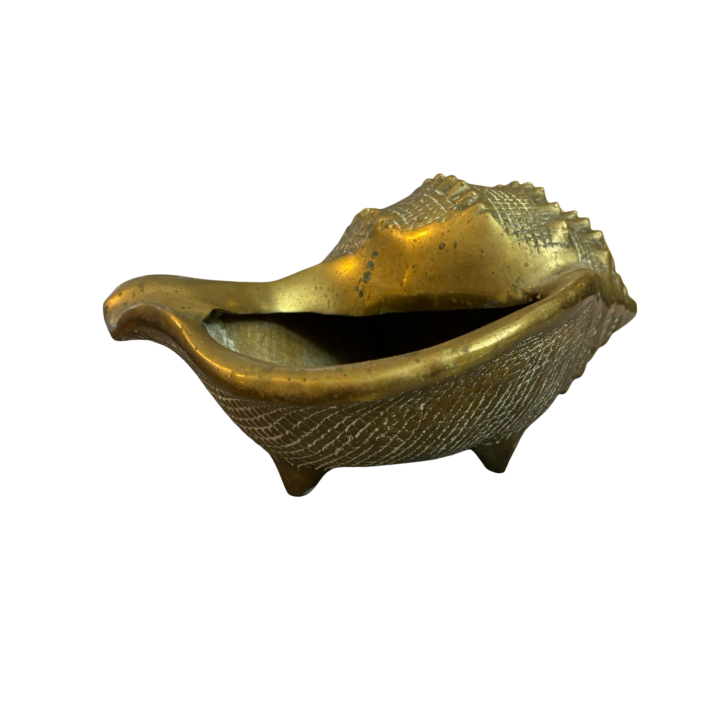 Large Brass Conch Shell Planter