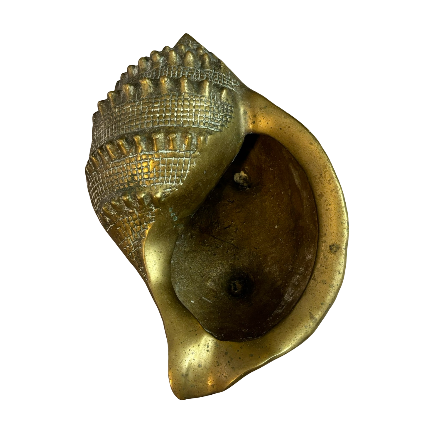Large Brass Conch Shell Planter