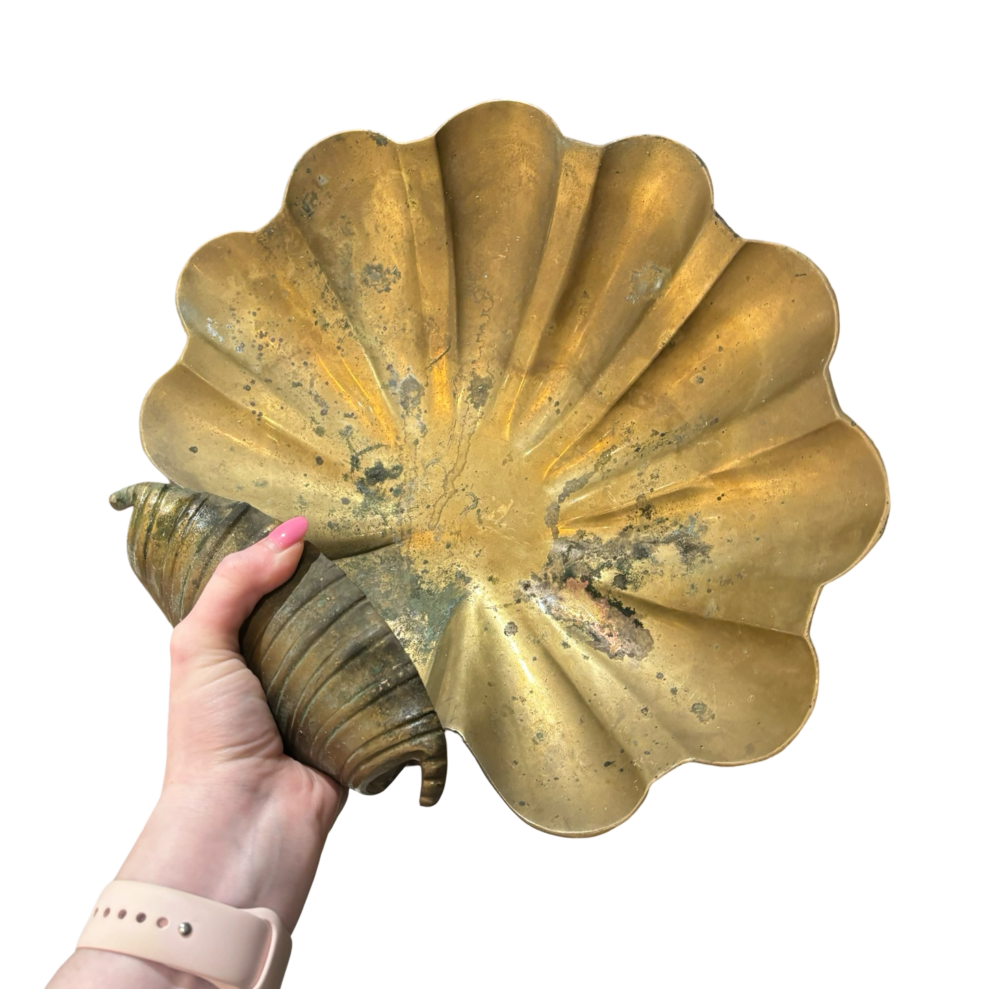 Brass Shell Dish