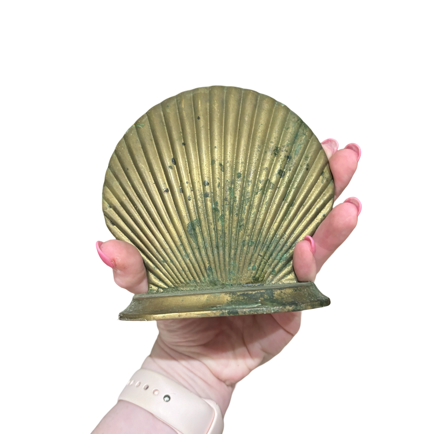 Brass Shell Bookends