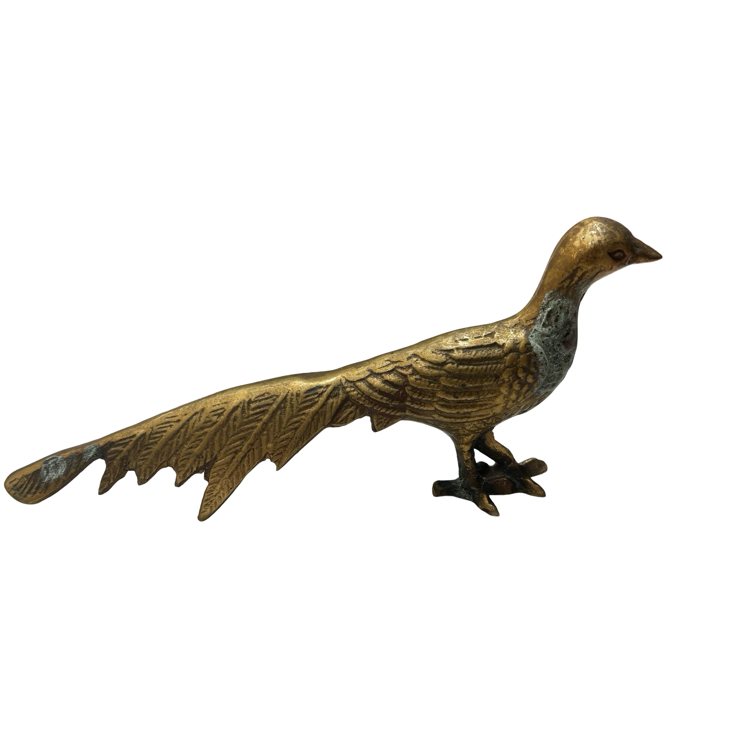 Brass Pheasant