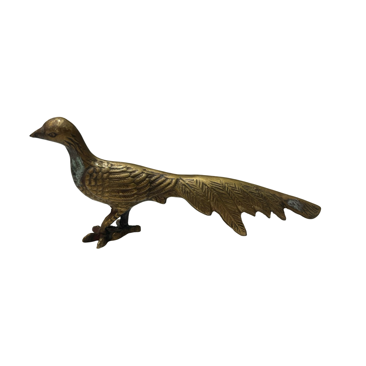 Brass Pheasant