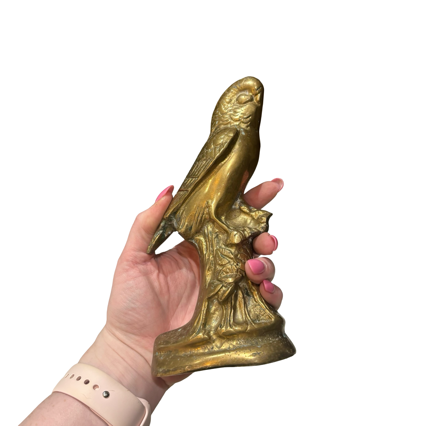 Brass Parakeet