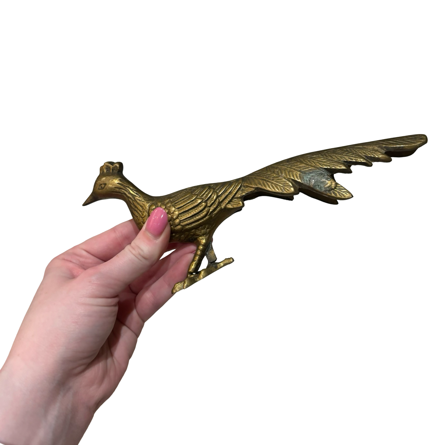 Brass Pheasant