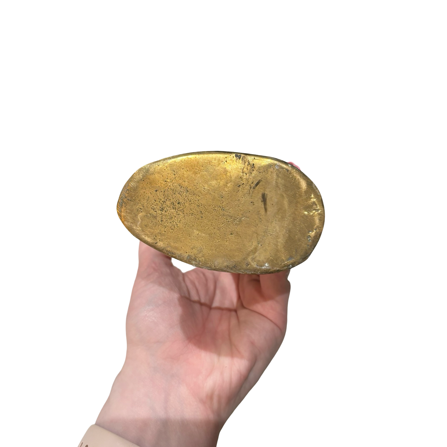 Brass Parakeet