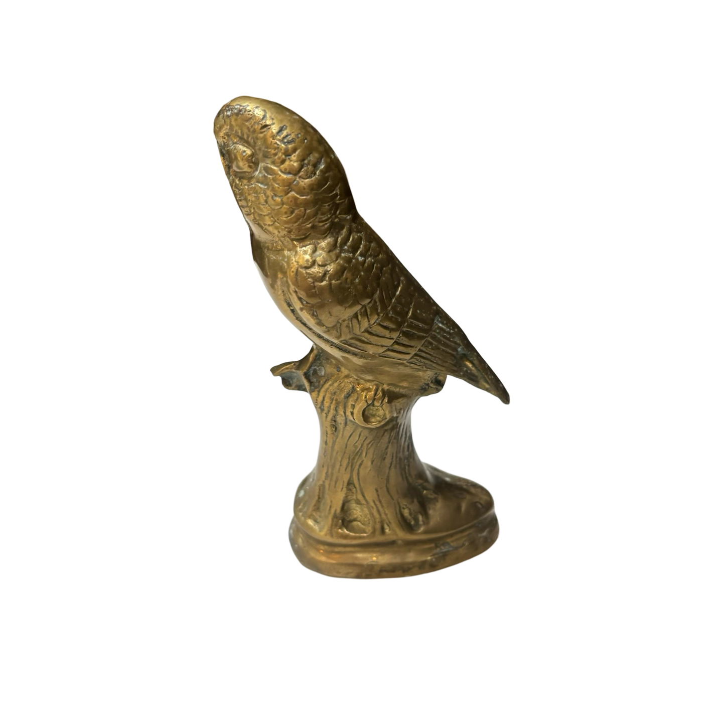 Brass Parakeet