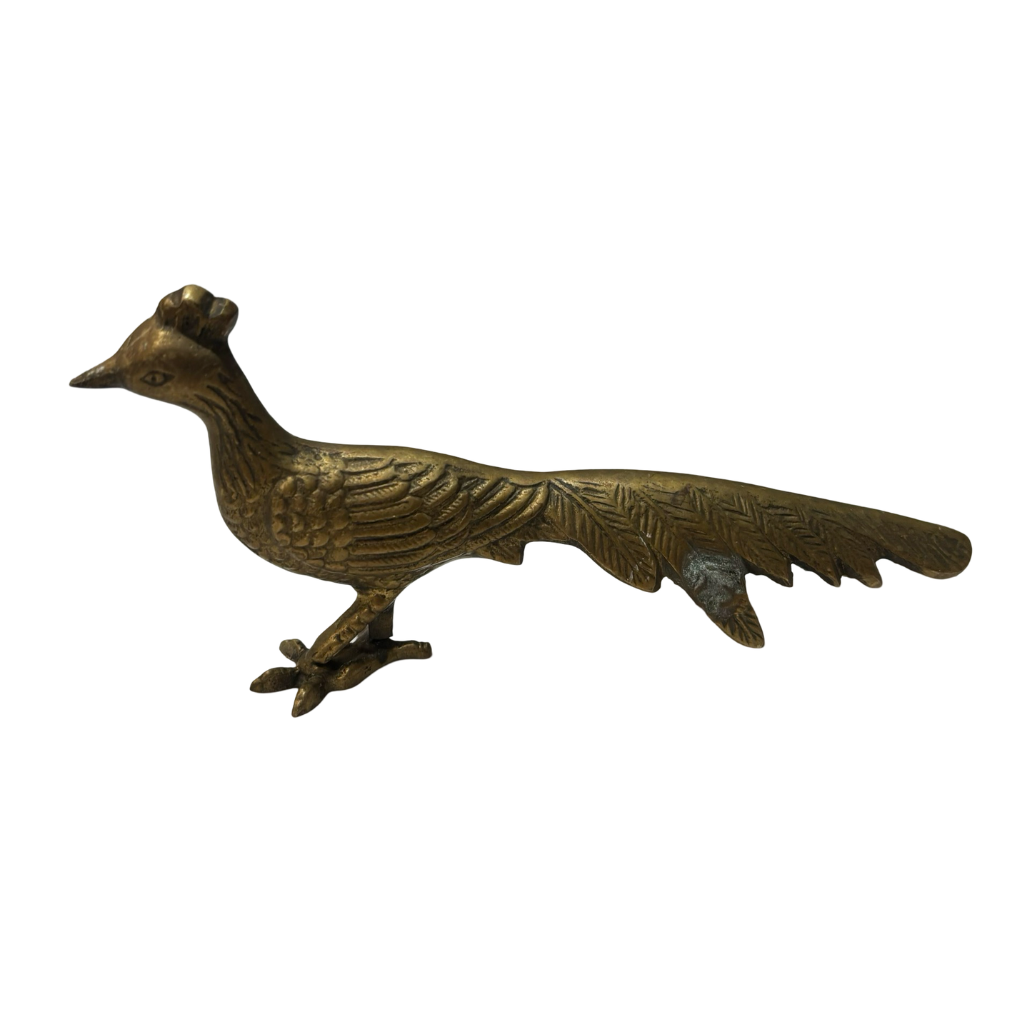 Brass Pheasant