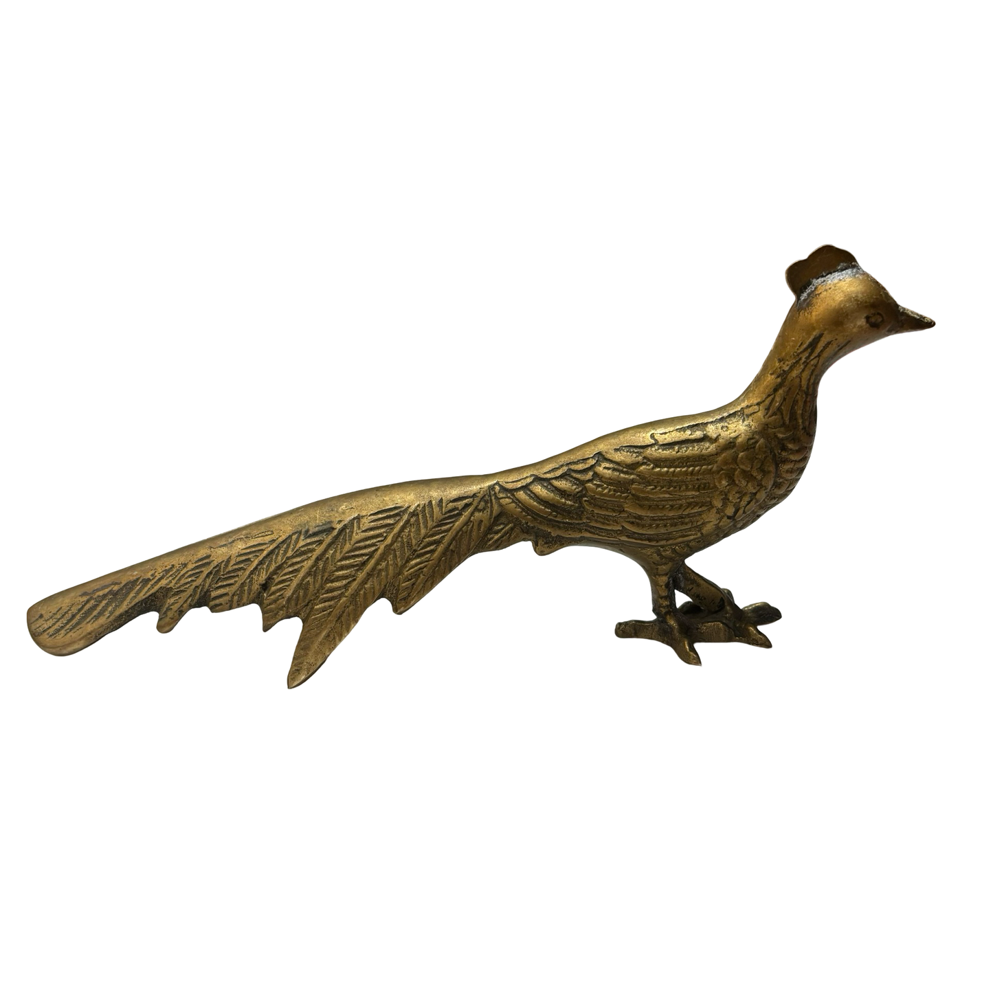 Brass Pheasant