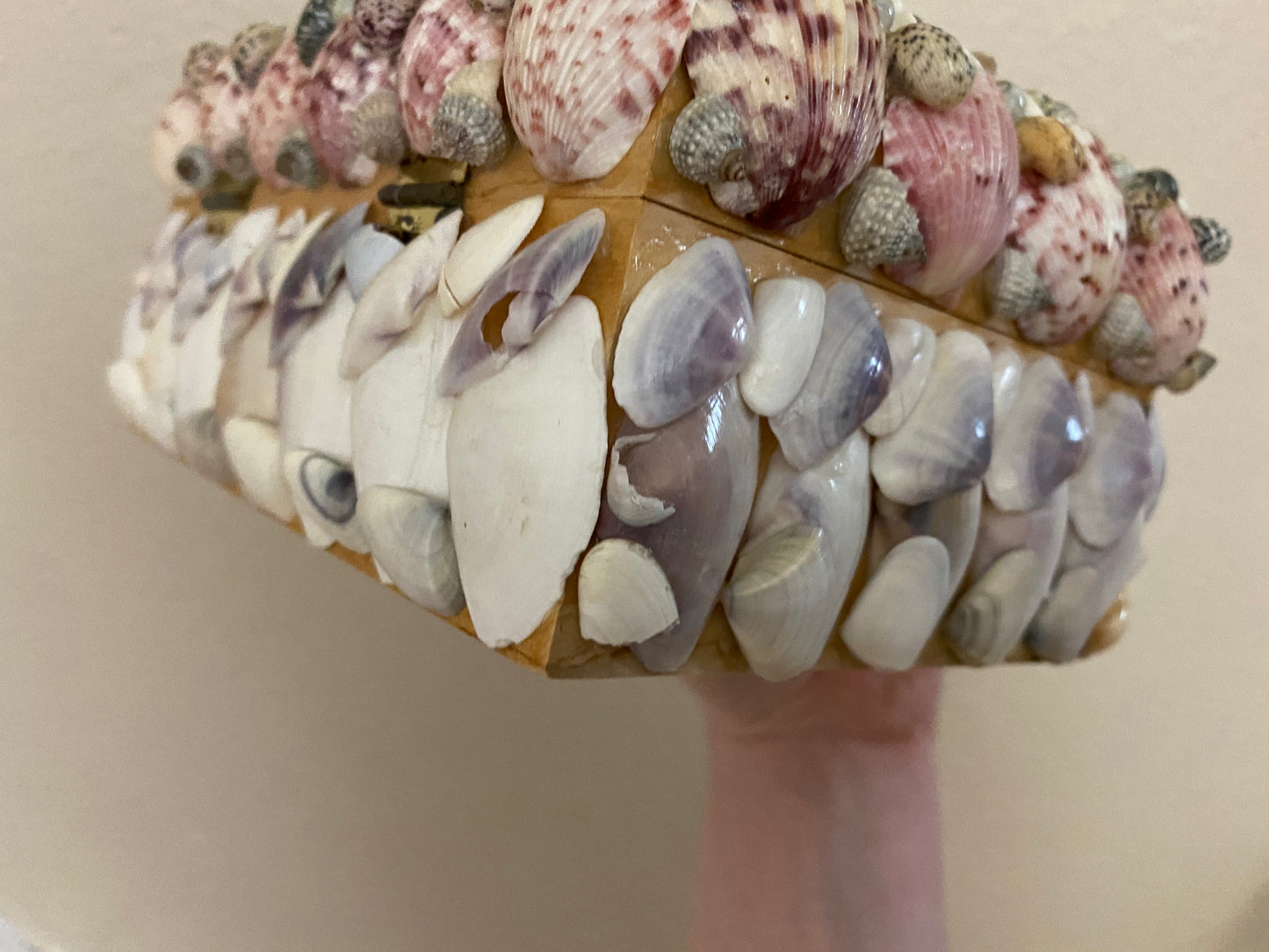 Decorative Shell Covered Box