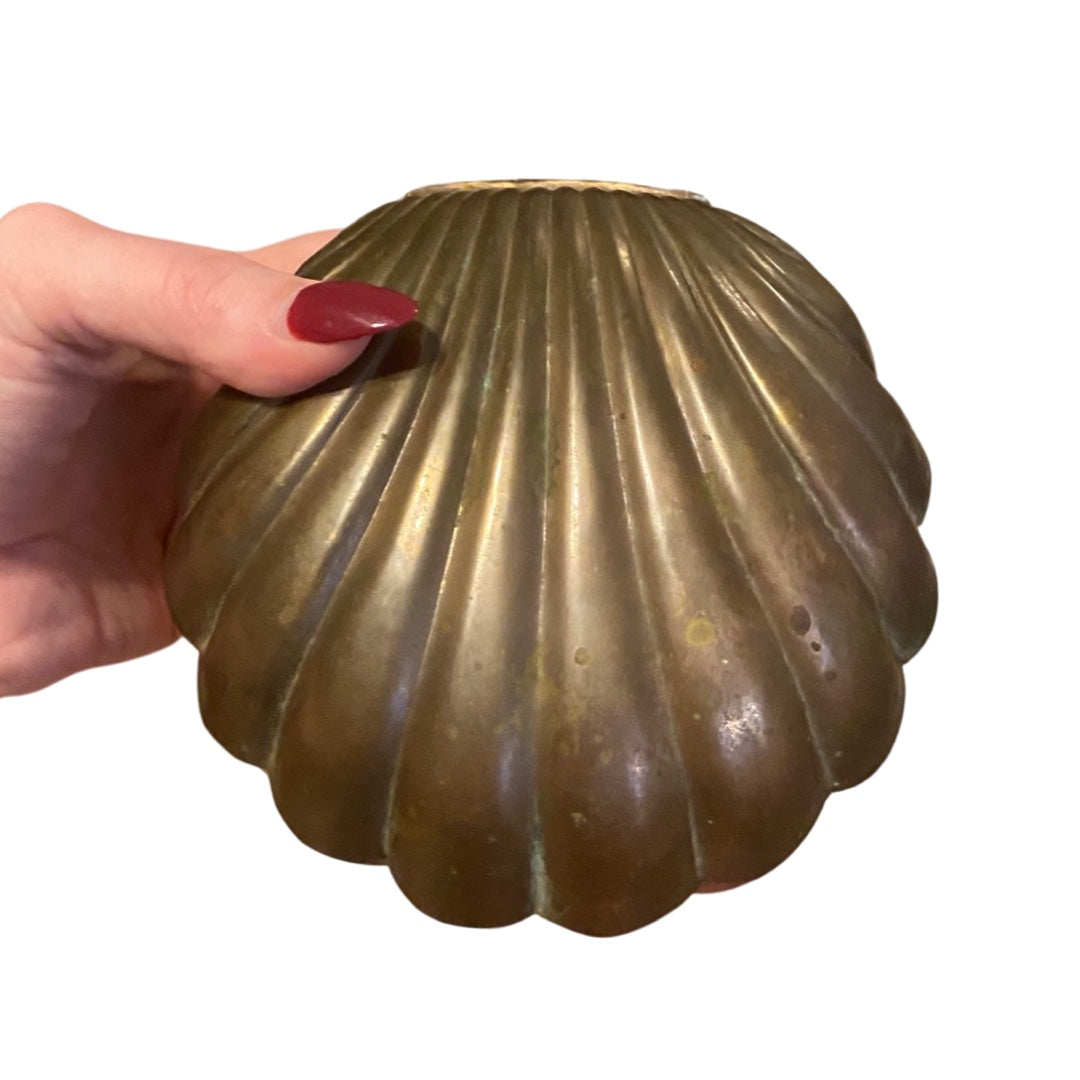 Brass Clam Shell Box