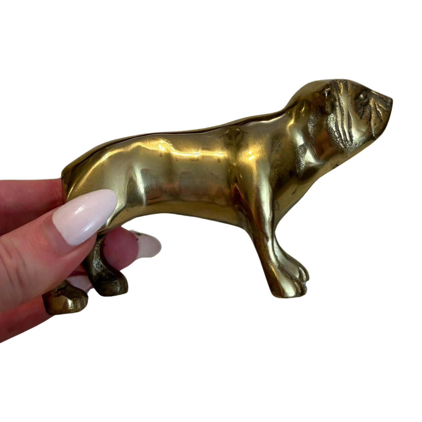 Brass Dog