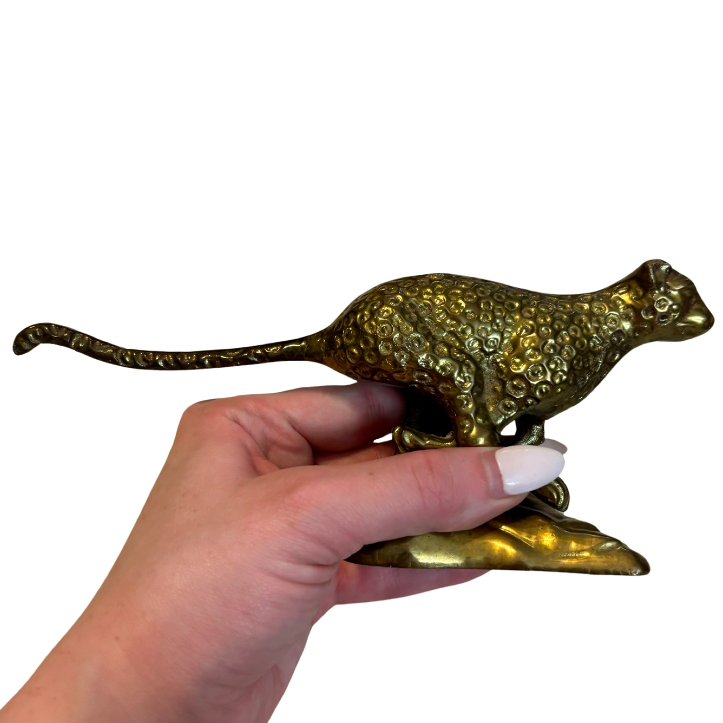 Brass Cheetah