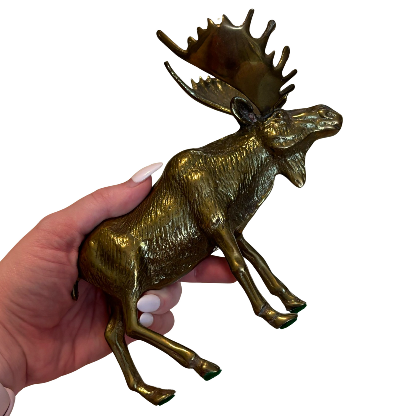 Brass Moose