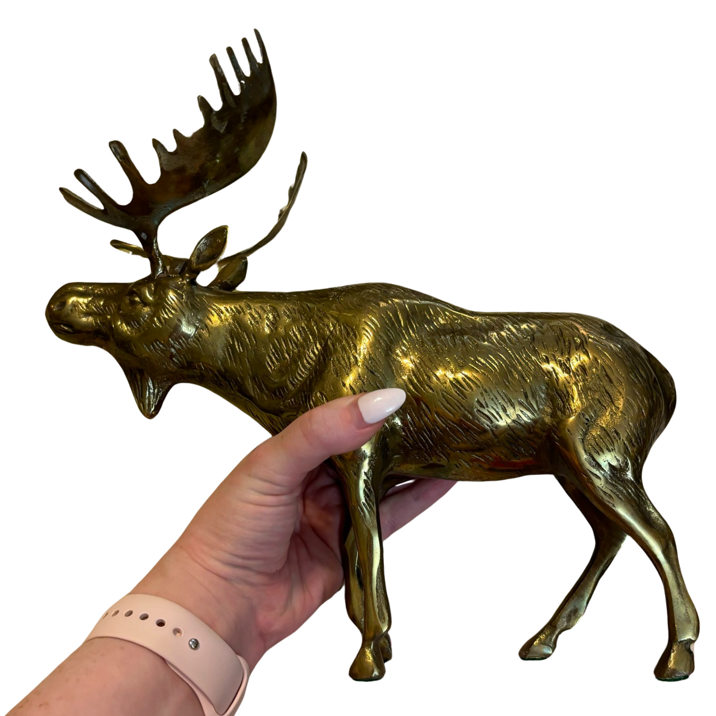 Huge Brass Moose