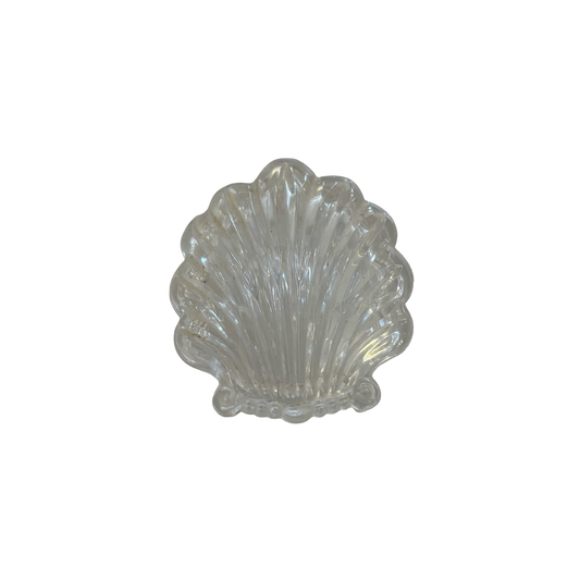 Glass Shell Box