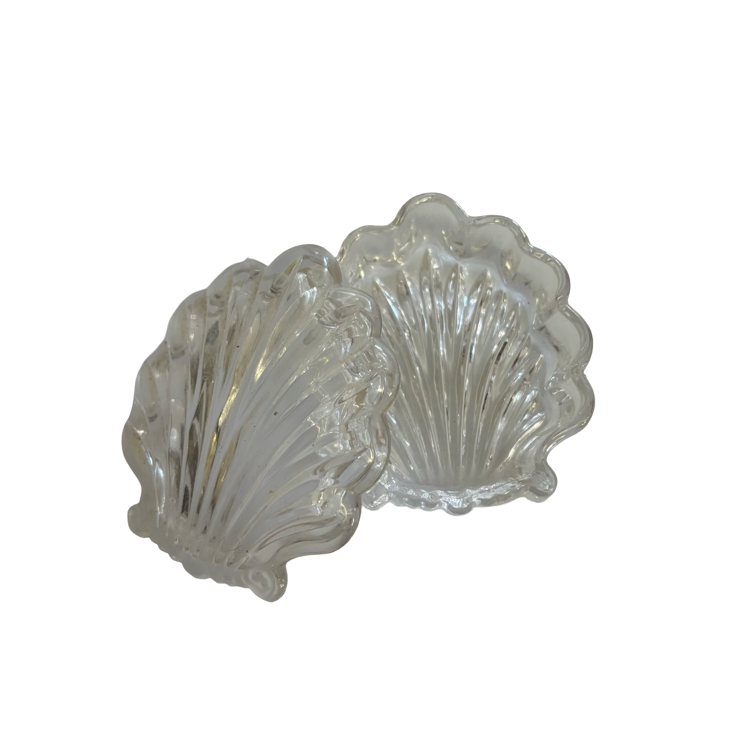 Glass Shell Box