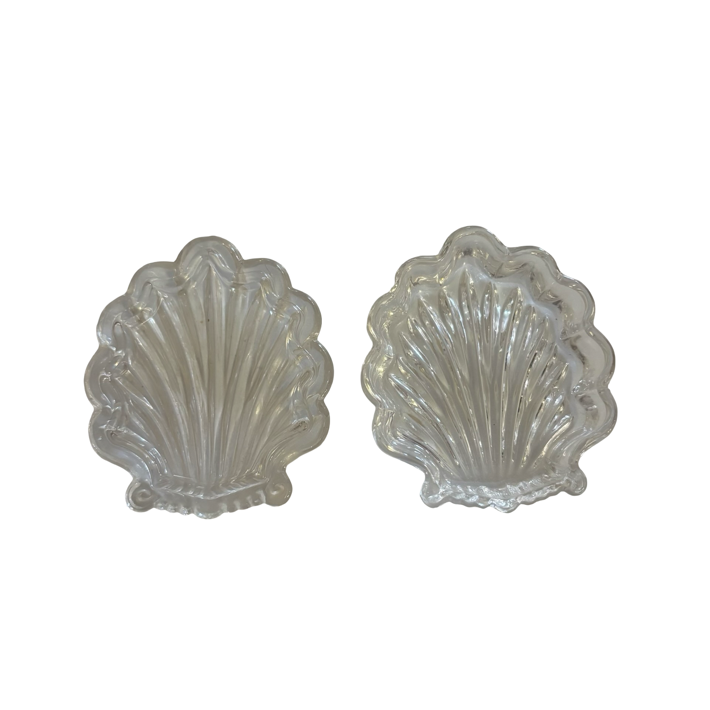 Glass Shell Box