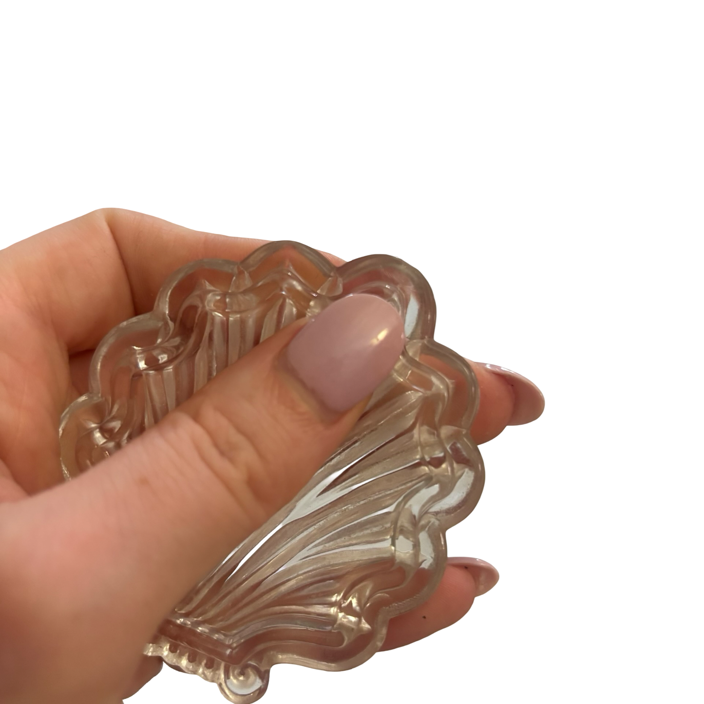 Glass Shell Box
