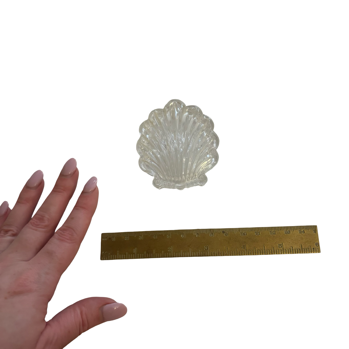 Glass Shell Box