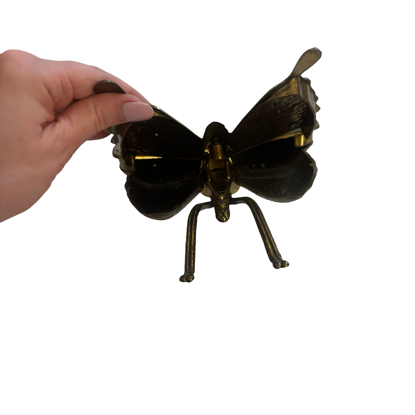Cast Brass Butterfly Box