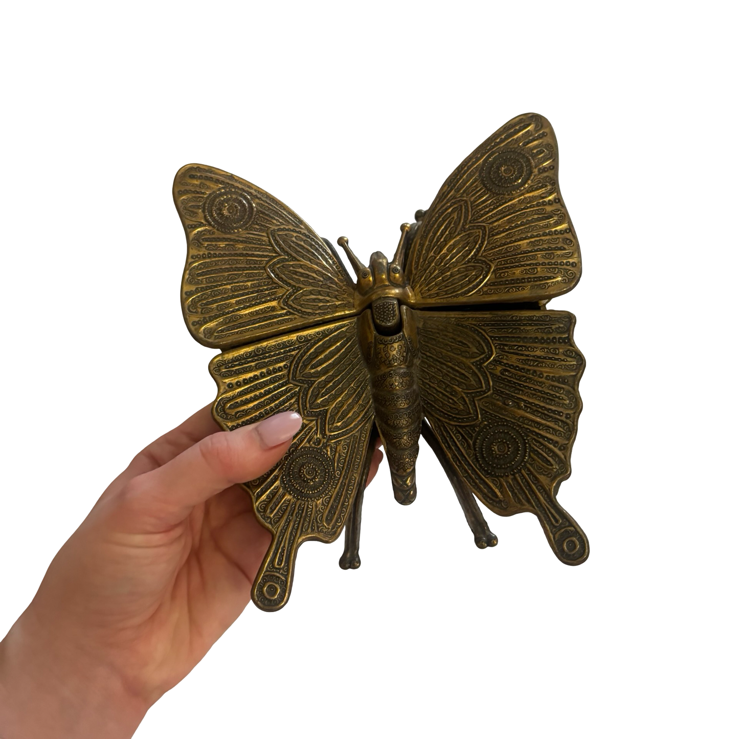 Cast Brass Butterfly Box