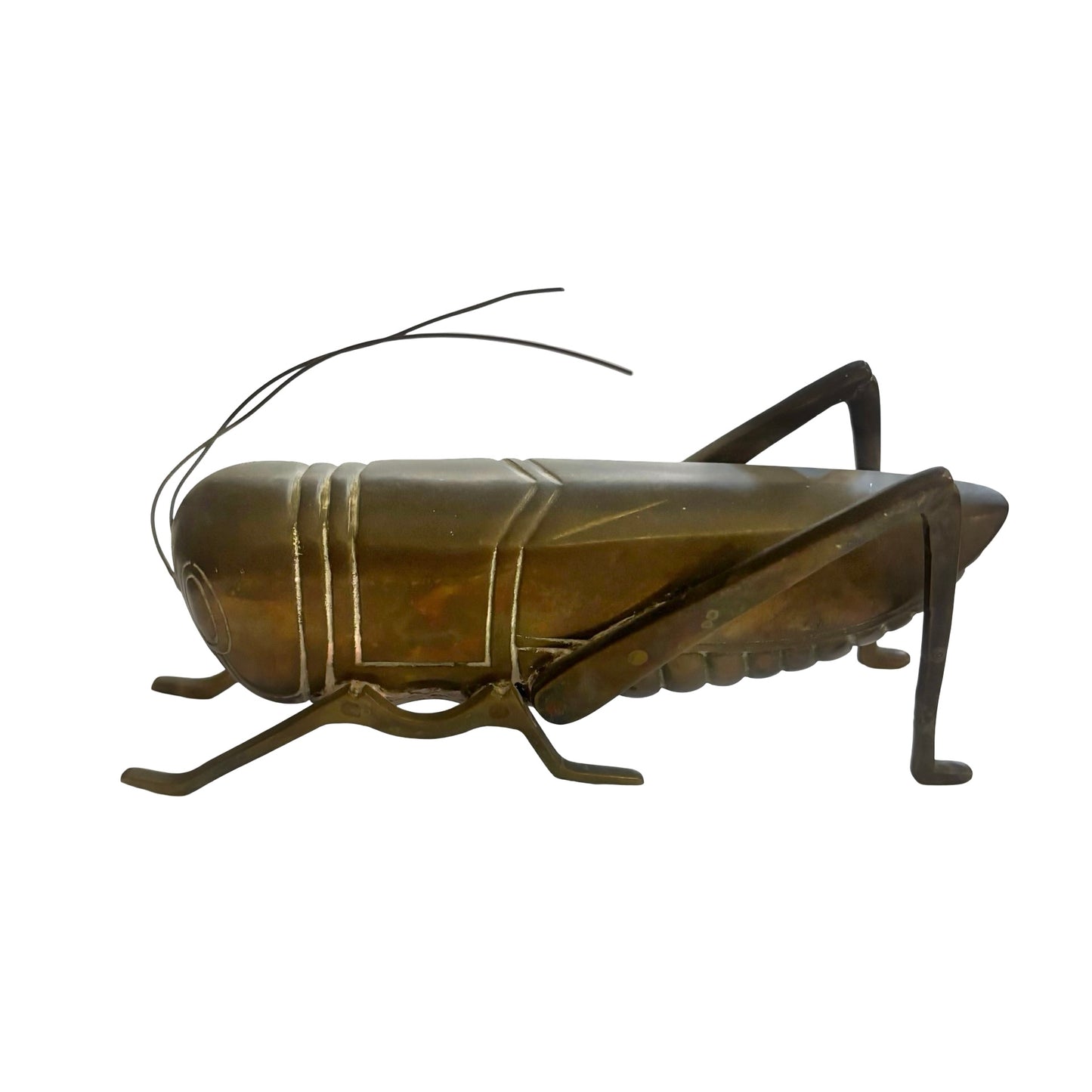 Giant Dolbi Cashier Brass Grasshopper